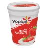 9095 | Yoplait Batido Fresa 442 gr