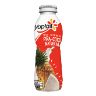 9233 | Yoplait Beber Piña Coco 242 gr